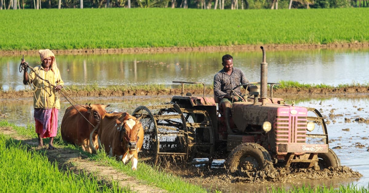 AI in Agriculture: Feeding the Future